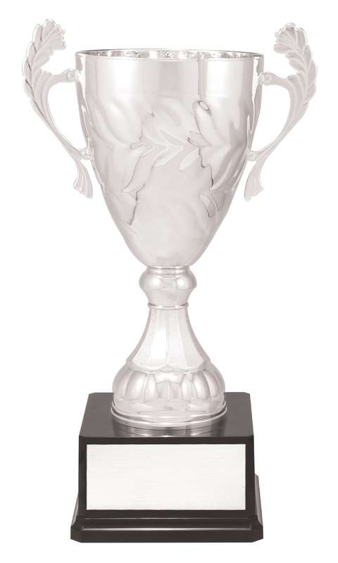 Silver Eternal Cups