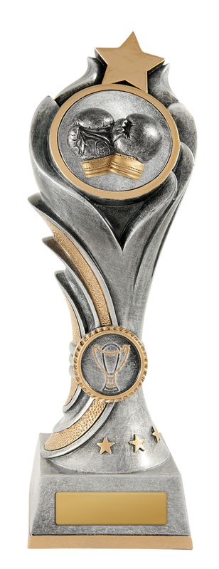 Boxing Trophy 200mm