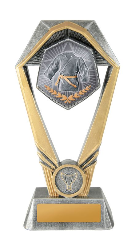 Martial Arts Trophy 210mm