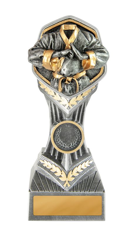 Martial Arts Trophy 180mm
