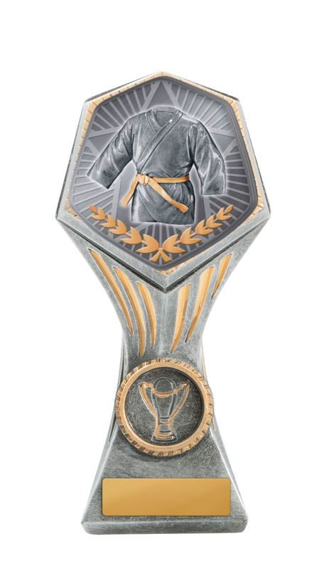 Martial Arts Trophy 225mm