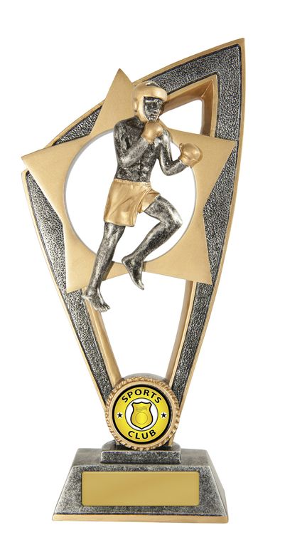 Ezi-Rez Series Kick Boxing Trophy with 25mm Centre