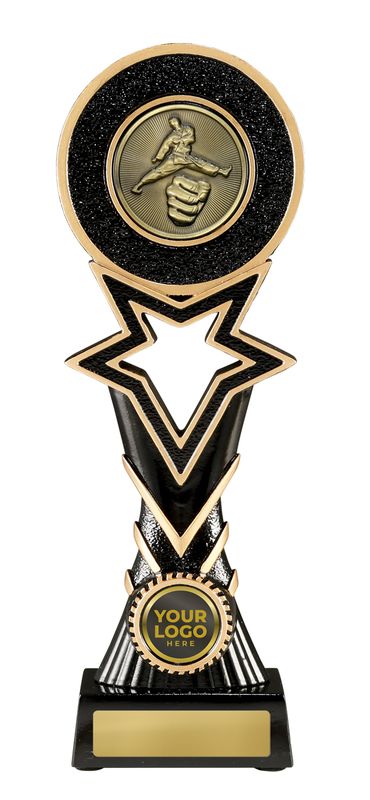 Martial Arts Trophy 270mm