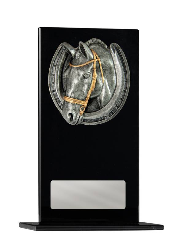 Swimming Glass Trophy 140mm