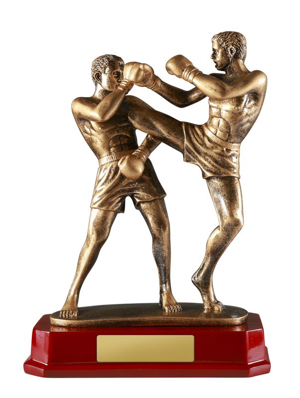 Double Kick Boxing Kickboxing Trophy 235mm