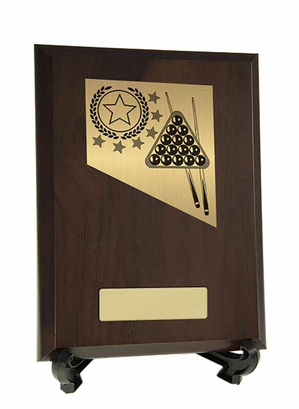 Billiards Theme on Plaque 200mm