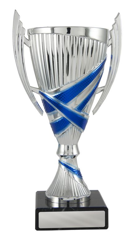 Blue/Silver Cup