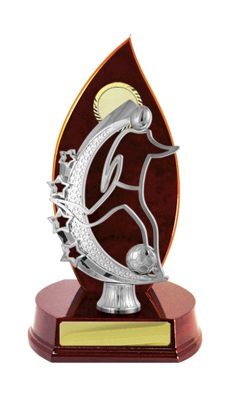 Football Male Trophy 230mm