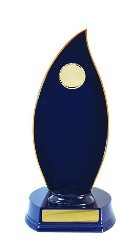 Timber FlameBack-Royal Blue-Size A
