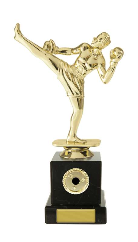 Kickboxer Males Trophy